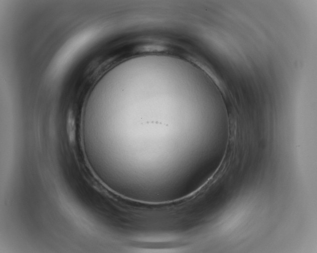 X0000111951151200908031153