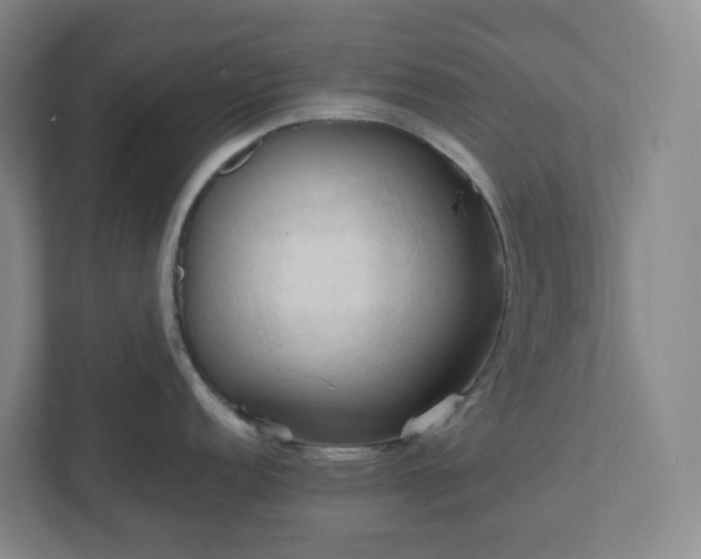 X0000111951152200908031153