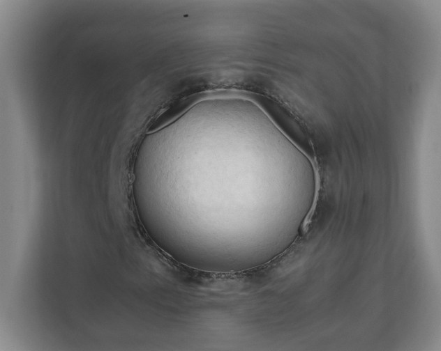 X0000111951153200908031152
