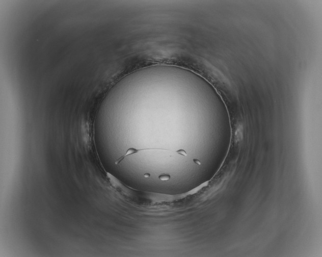 X0000111951156200908031152