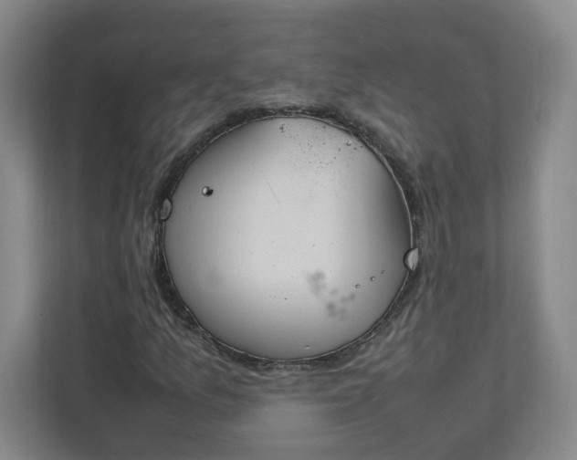X0000111951157200908031152