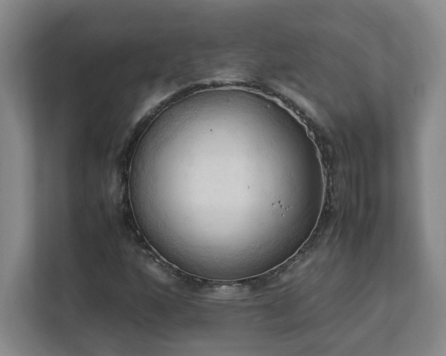 X0000111951160200908031152