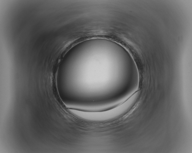 X0000111951161200908031152