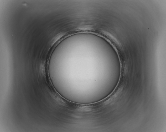 X0000111951162200908031152