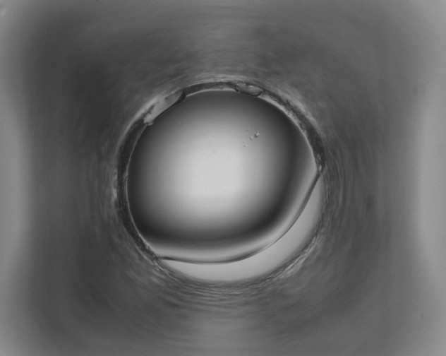 X0000111951165200908031152