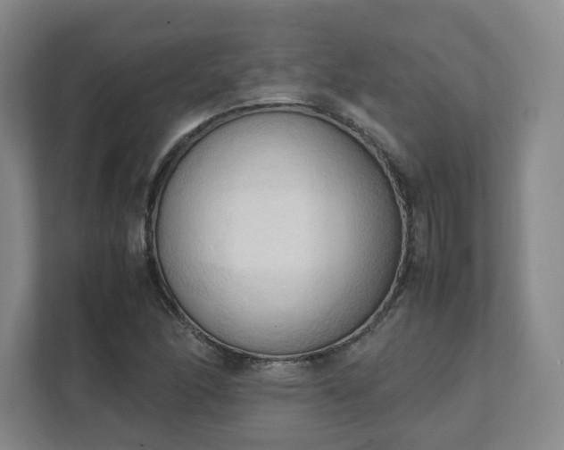 X0000111951166200908031152