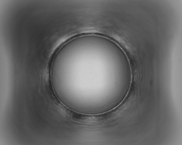 X0000111951167200908031152
