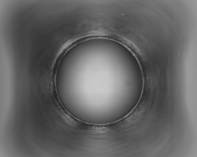 X0000111951168200908031152