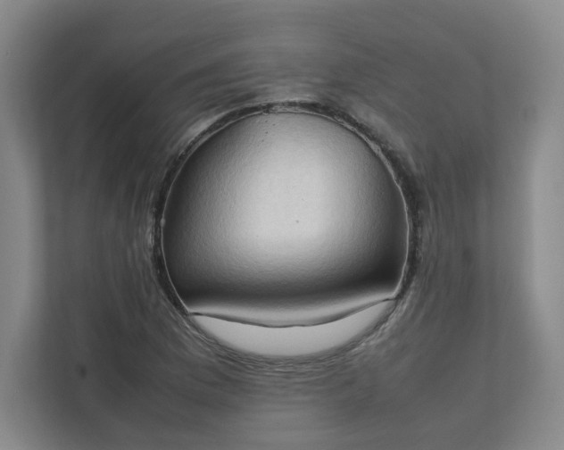 X0000111951169200908031152