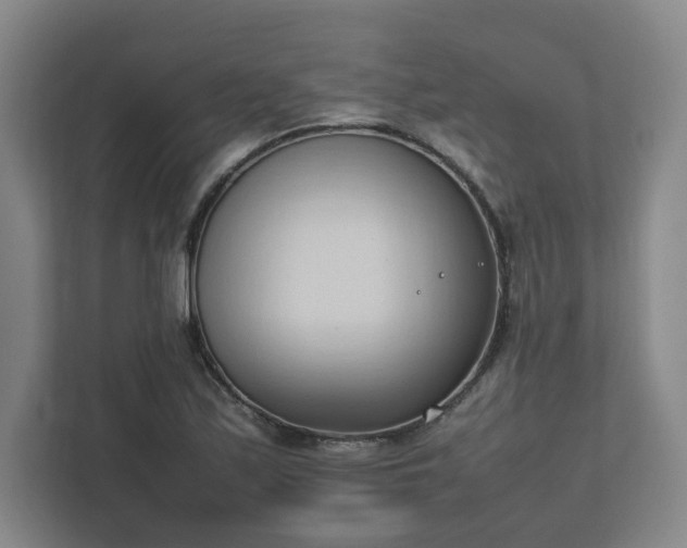 X0000111951171200908031152