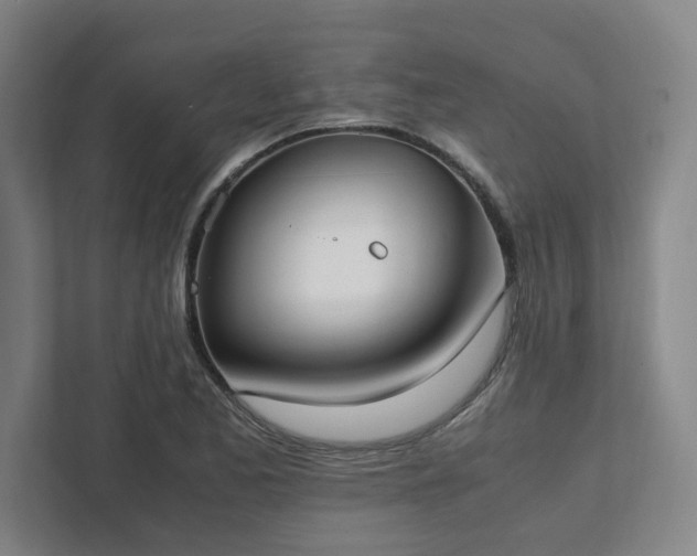 X0000111951173200908031152