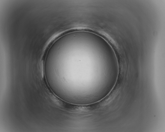 X0000111951175200908031152