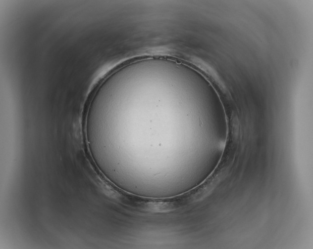 X0000111951176200908031152