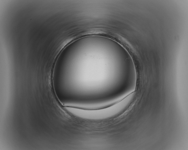 X0000111951177200908031152