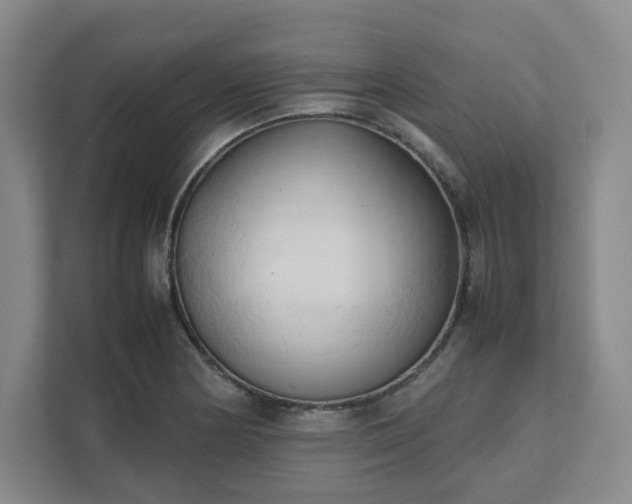 X0000111951178200908031152
