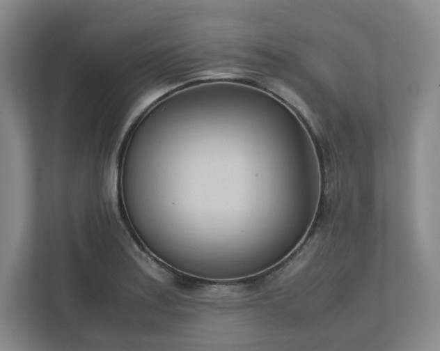 X0000111951179200908031152