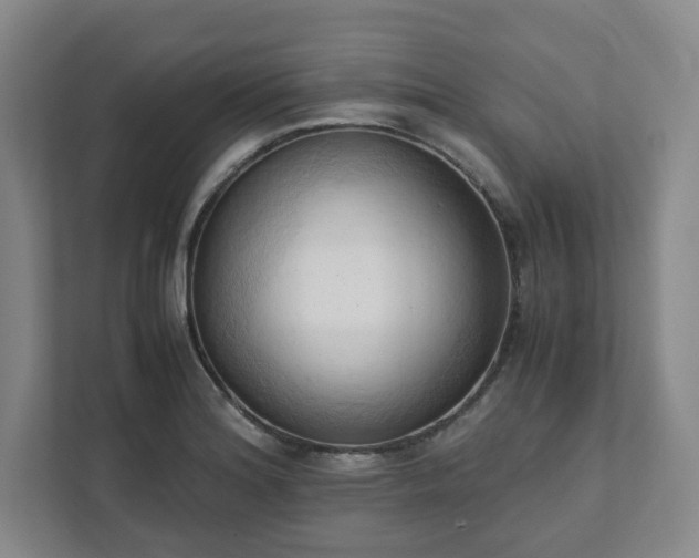 X0000111951180200908031152
