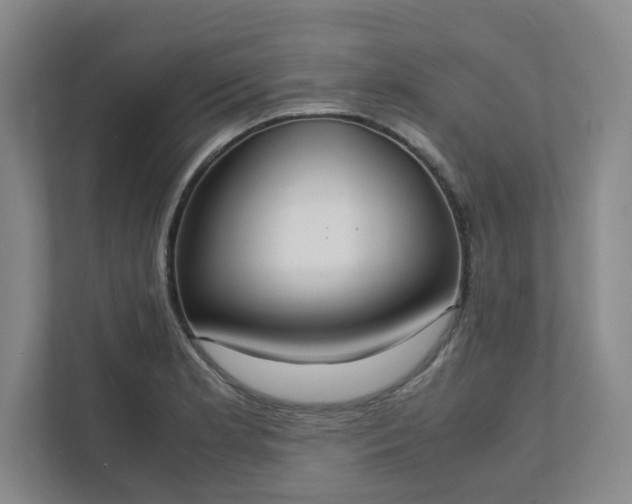 X0000111951181200908031152