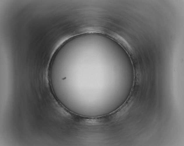 X0000111951182200908031152