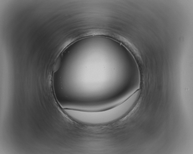 X0000111951185200908031152