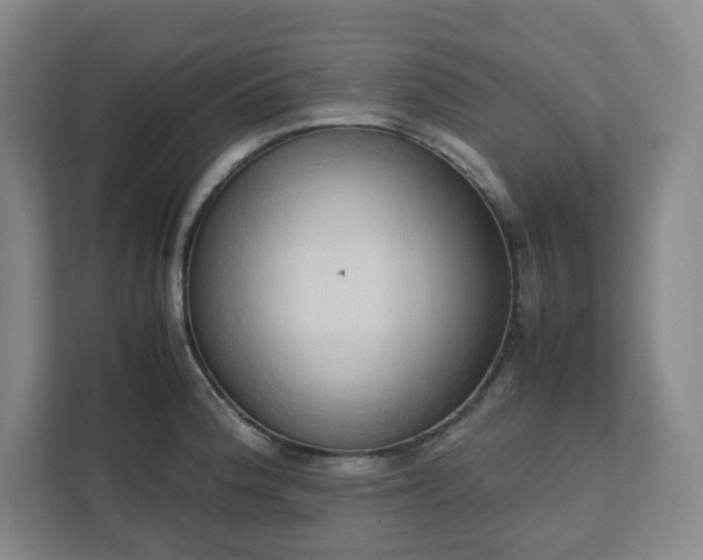 X0000111951188200908031152