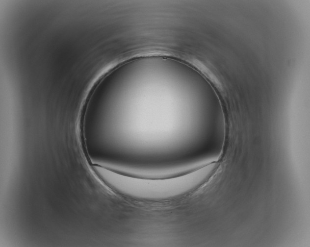 X0000111951189200908031152