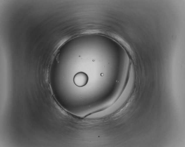 X0000111951193200908031152