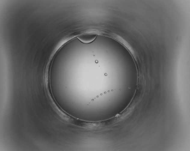 X0000111951195200908031152