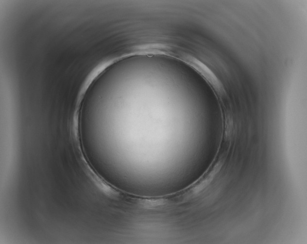 X0000111951196200908031152