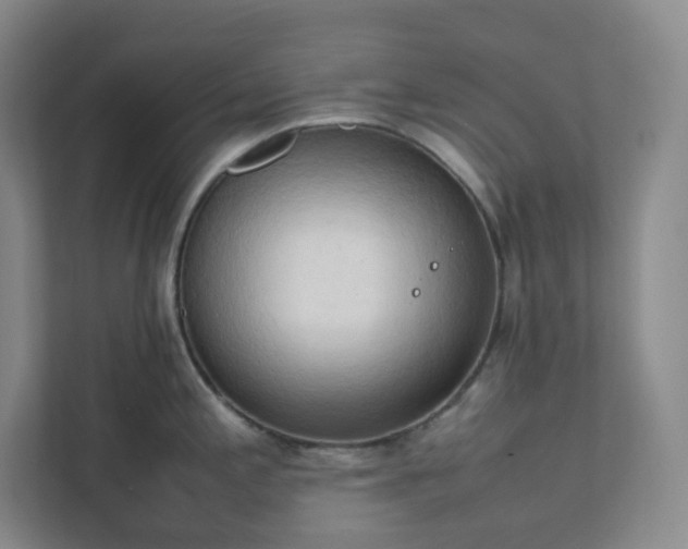 X0000111951197200908031152