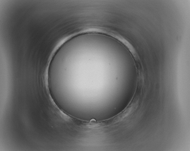 X0000111951199200908031152