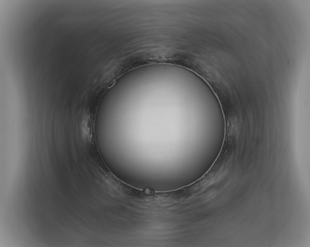 X0000111951202200908031151