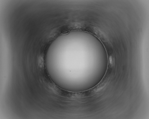 X0000111951203200908031151