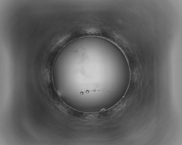 X0000111951205200908031151