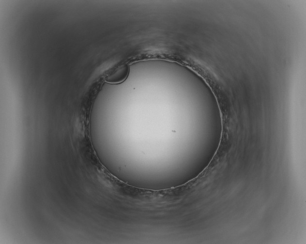 X0000111951207200908031151