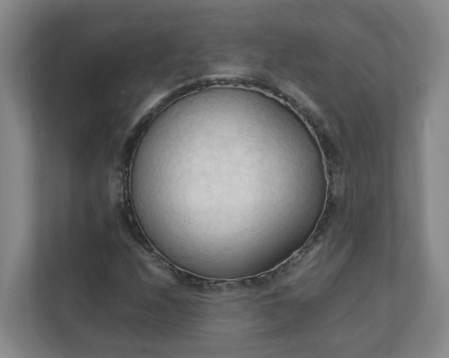 X0000111951208200908031151