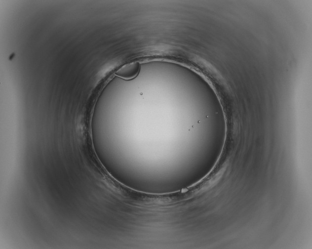 X0000111951210200908031151