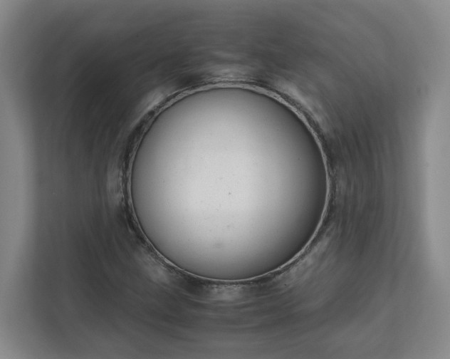 X0000111951211200908031151