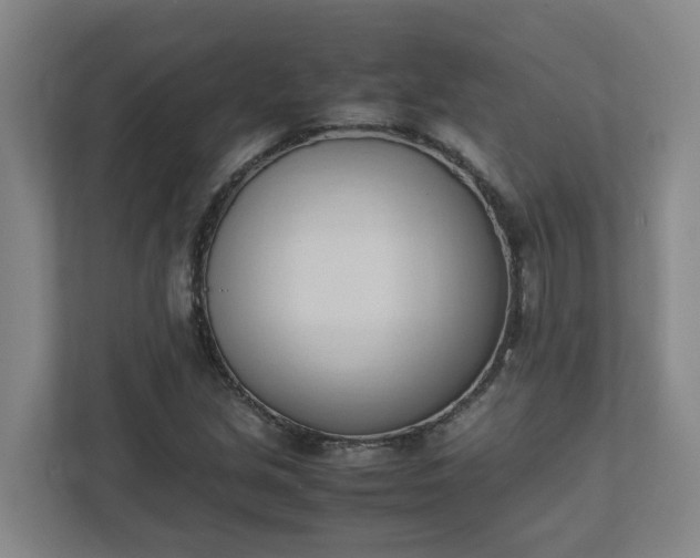 X0000111951213200908031151