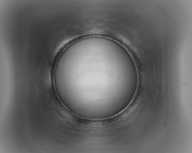 X0000111951214200908031151