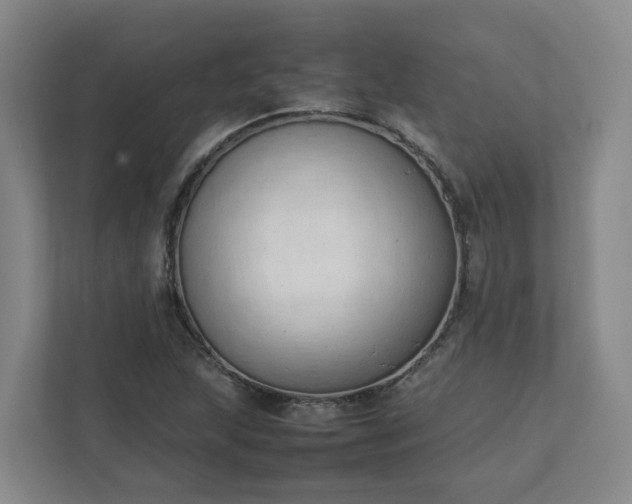 X0000111951215200908031151