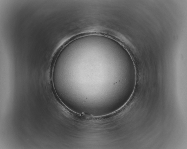 X0000111951216200908031151