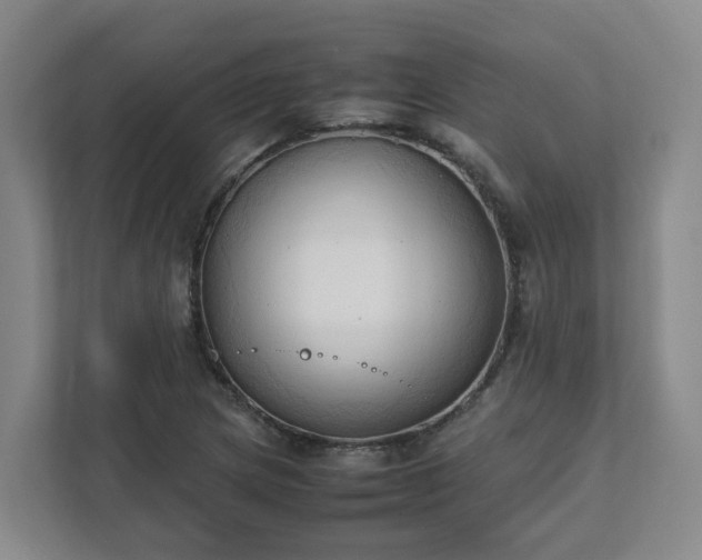 X0000111951217200908031151