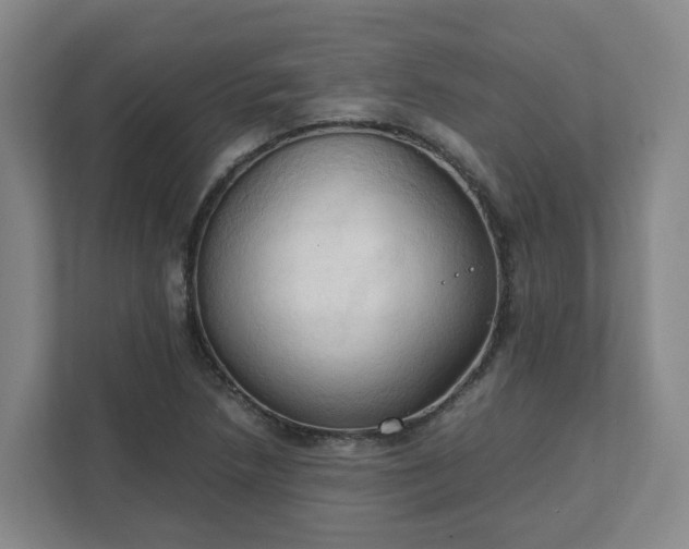 X0000111951218200908031151