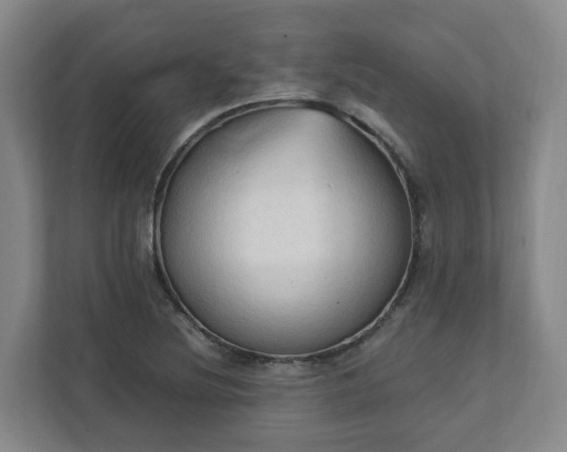 X0000111951220200908031151