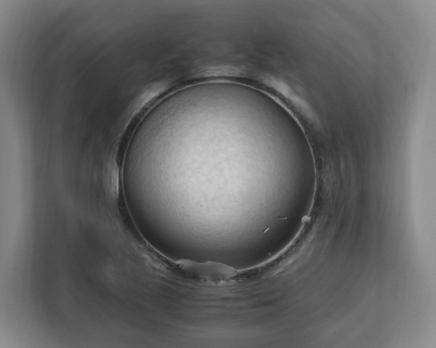 X0000111951221200908031151