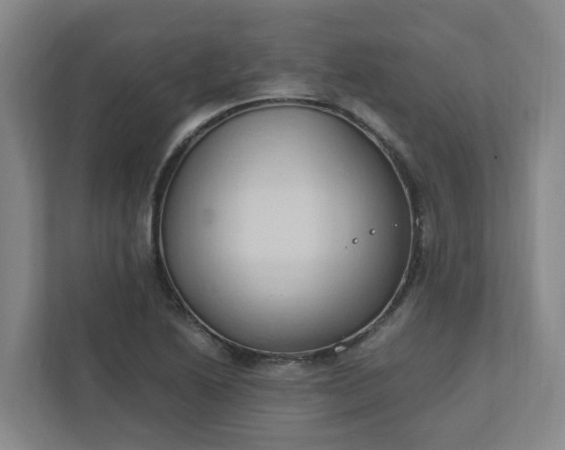 X0000111951222200908031151