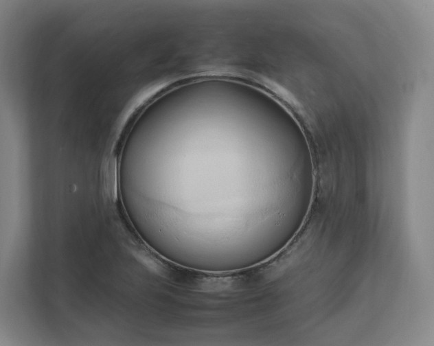 X0000111951223200908031151