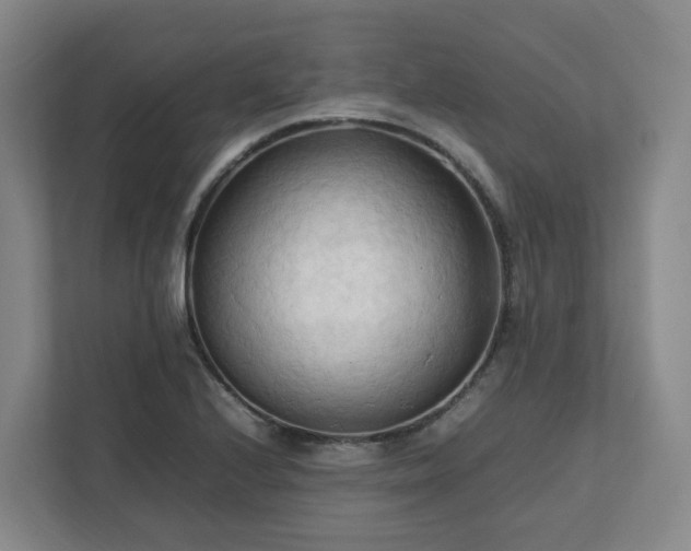 X0000111951224200908031151
