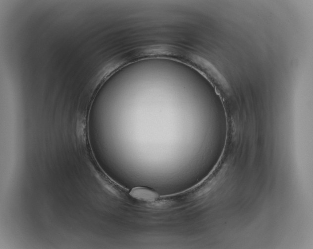 X0000111951225200908031151